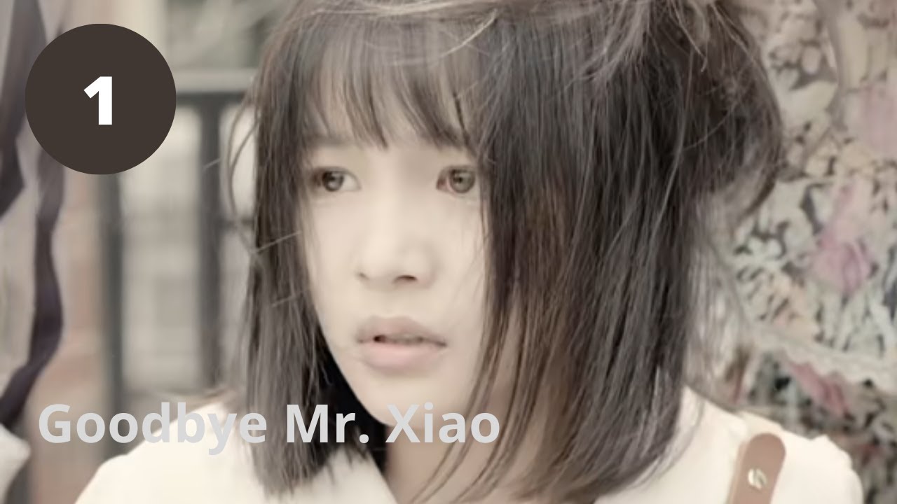 Goodbye Mr. Xiao (2023) 