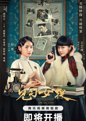 Internship Detective (2023) 