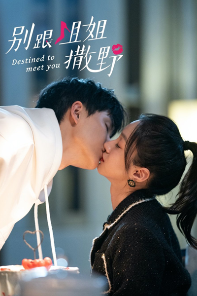 Destined to Meet You (2022) 