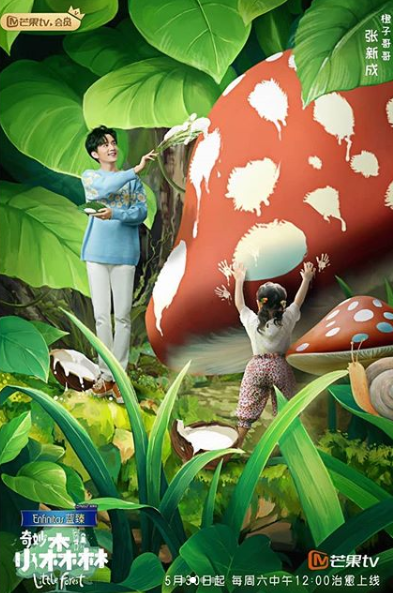 Wonderful Little Forest (2020) 